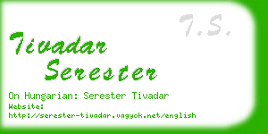 tivadar serester business card